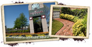 Landscaping photo